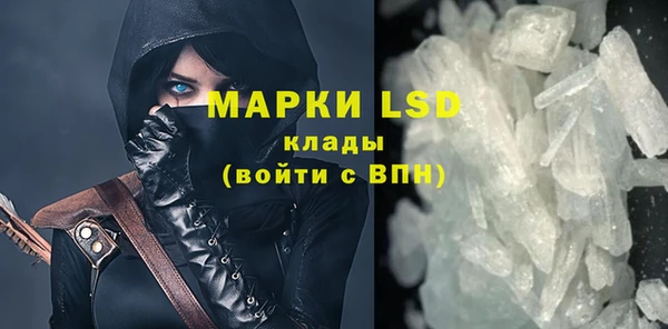 ГАЛЛЮЦИНОГЕННЫЕ ГРИБЫ Белокуриха