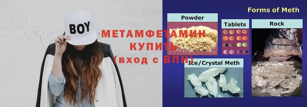 ГАЛЛЮЦИНОГЕННЫЕ ГРИБЫ Белокуриха