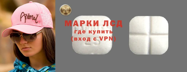ГАЛЛЮЦИНОГЕННЫЕ ГРИБЫ Белокуриха