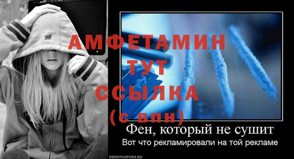 ГАЛЛЮЦИНОГЕННЫЕ ГРИБЫ Белокуриха