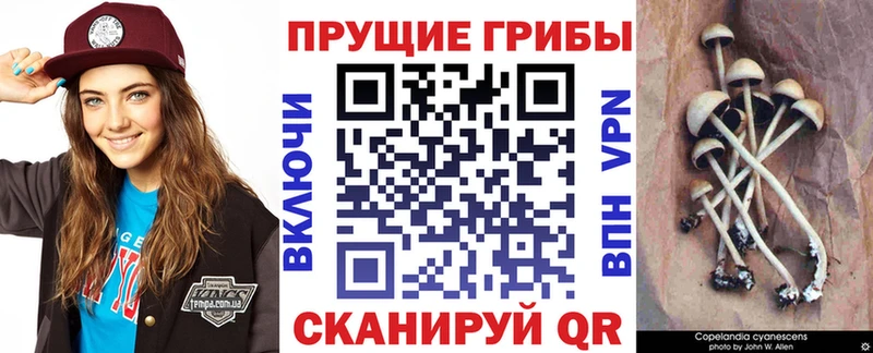Галлюциногенные грибы MAGIC MUSHROOMS  Бугульма 